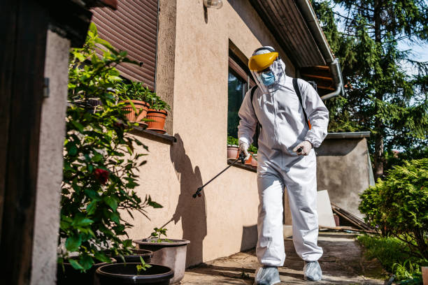 Professional Pest Control in Mattapoisett Center, MA